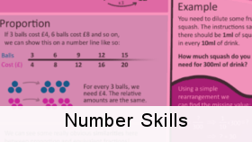number skills